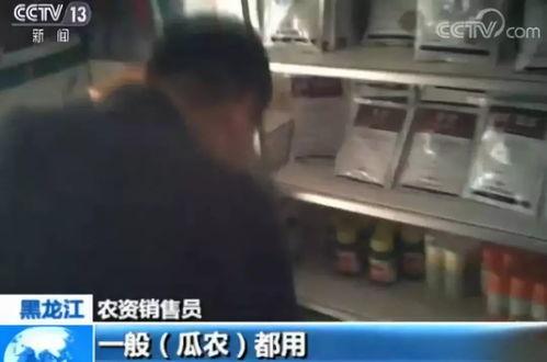 林州吃瓜新闻视频曝光最新,揭秘背后惊人真相