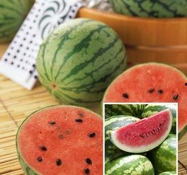 一些五年级的吃瓜视频,五年级吃瓜达人带你领略校园新鲜事