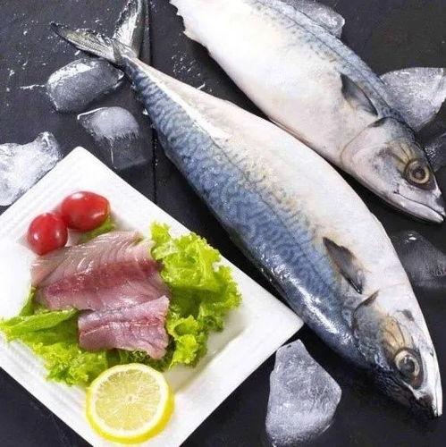 哇塞吃八瓜鱼歌曲视频,一场美食与音乐的奇妙之旅