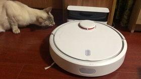 吃瓜机器人视频