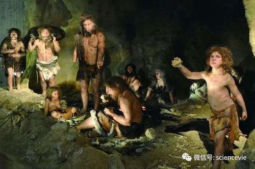 灭绝冰原吃瓜视频,揭秘灭绝冰原的神秘吃瓜时刻