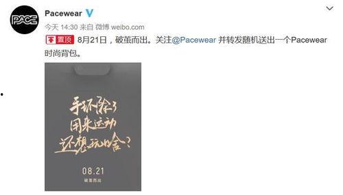 第三波吃瓜视频下载网站,揭秘热门视频下载网站全解析