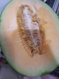 吃冻的哈密瓜视频,哈密瓜冻品新体验