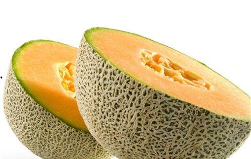 陈建斌吃哈密瓜视频